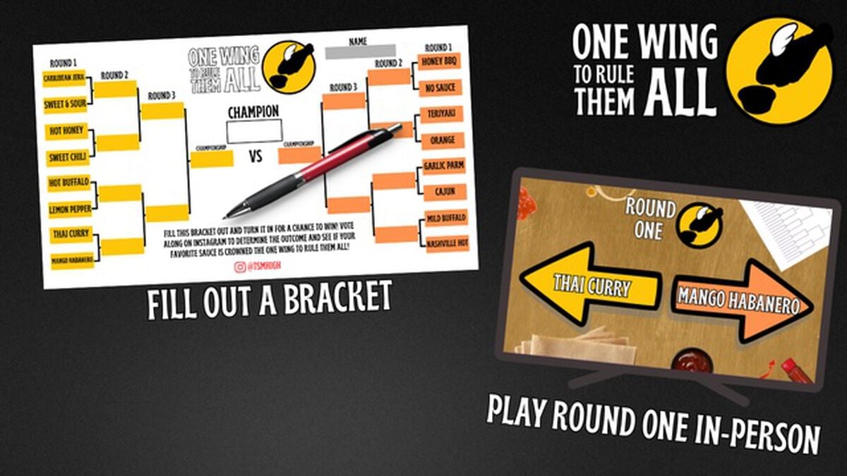 One Wing to Rule Them All image number null